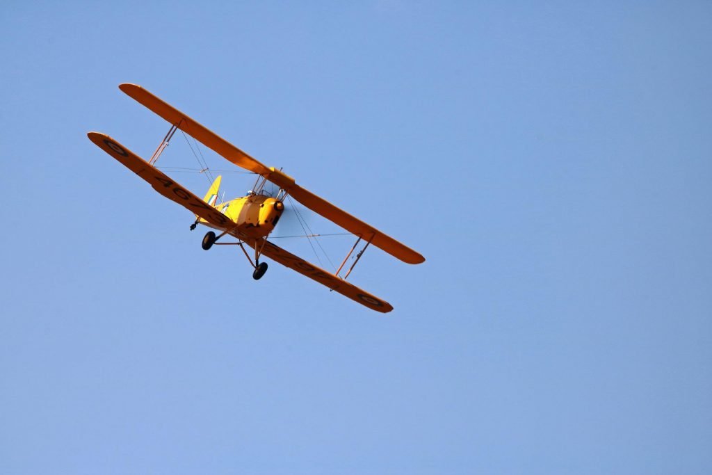 Tiger Moth